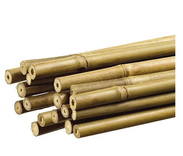 TUTOR DE BAMBÚ DECORATIVO COLOR NATURAL Ø1,1cm x1,20m NORTENE