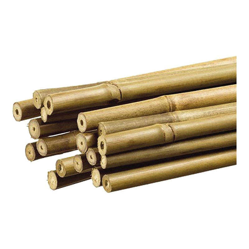TUTOR DE BAMBÚ DECORATIVO COLOR NATURAL Ø1,1cm x1,20m  NORTENE
