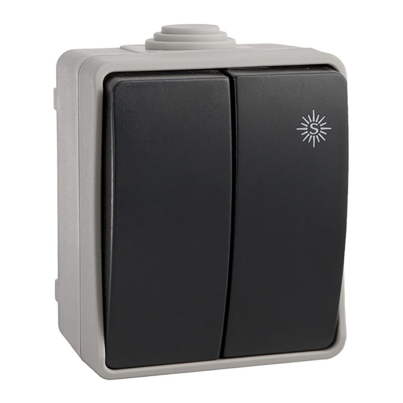 DOBLE CONMUTADOR ESTANCO 10 AX 250V~. IP54